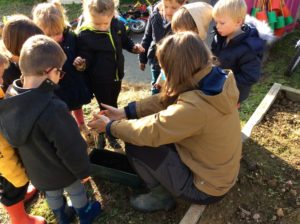 Read more about the article Un jardin bio dans notre école, deuxième séance…