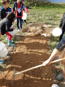 Lire la suite à propos de l’article Un jardin bio dans notre école – Les CE sèment leurs premières graines!