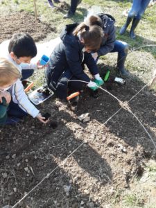 Lire la suite à propos de l’article Un jardin bio dans notre école – Les CE mettent en terre leurs plants!